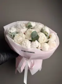 Petale pentru Suflet