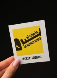 #Cheia de la inima mea